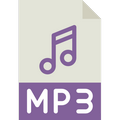 110年縣市學習能力檢測五年級(原四年級)英文科題本_英聽檔.mp3